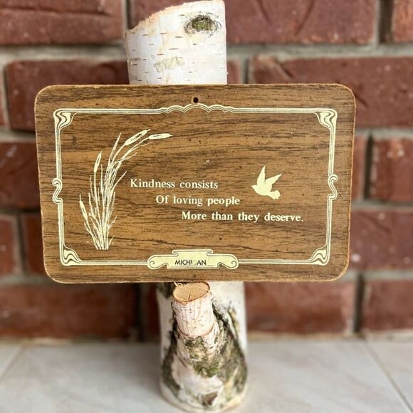 Vintage Michigan Sign - 'Kindness' Quote, Rustic Charm, Sentimental Decor Piece - Picture 1 of 6
